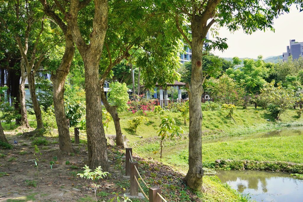 台北免費景點｜奇岩蜀葵花海 一秒掉進巨人的花園