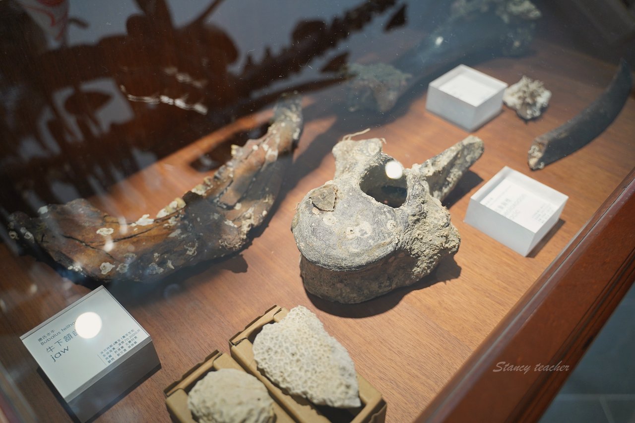 澎湖景點｜小門地質館探索館，親子同遊探索侏羅紀公園還可以跟恐龍拍網美照