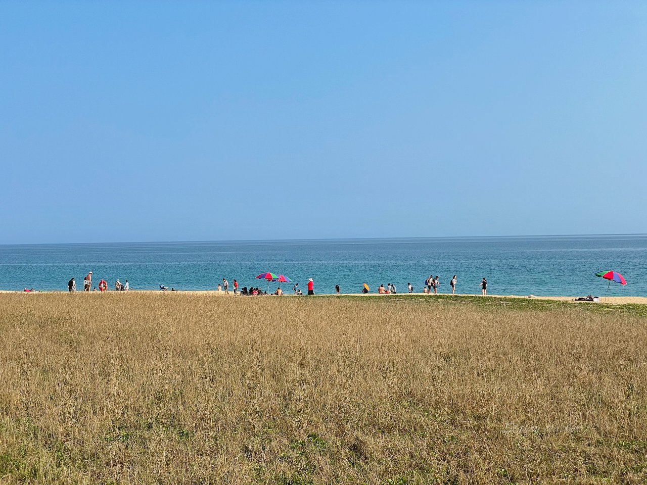 澎湖免費景點｜山水沙灘湛藍海水潔白沙灘，山水濕地賞候鳥的新樂園