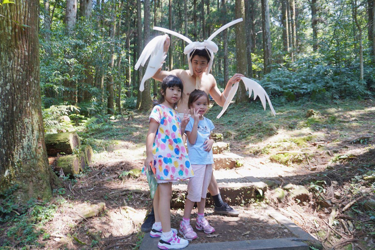 東眼山國家森林遊樂區，回森林家仿生的家 年度限定活動每年都想來參加