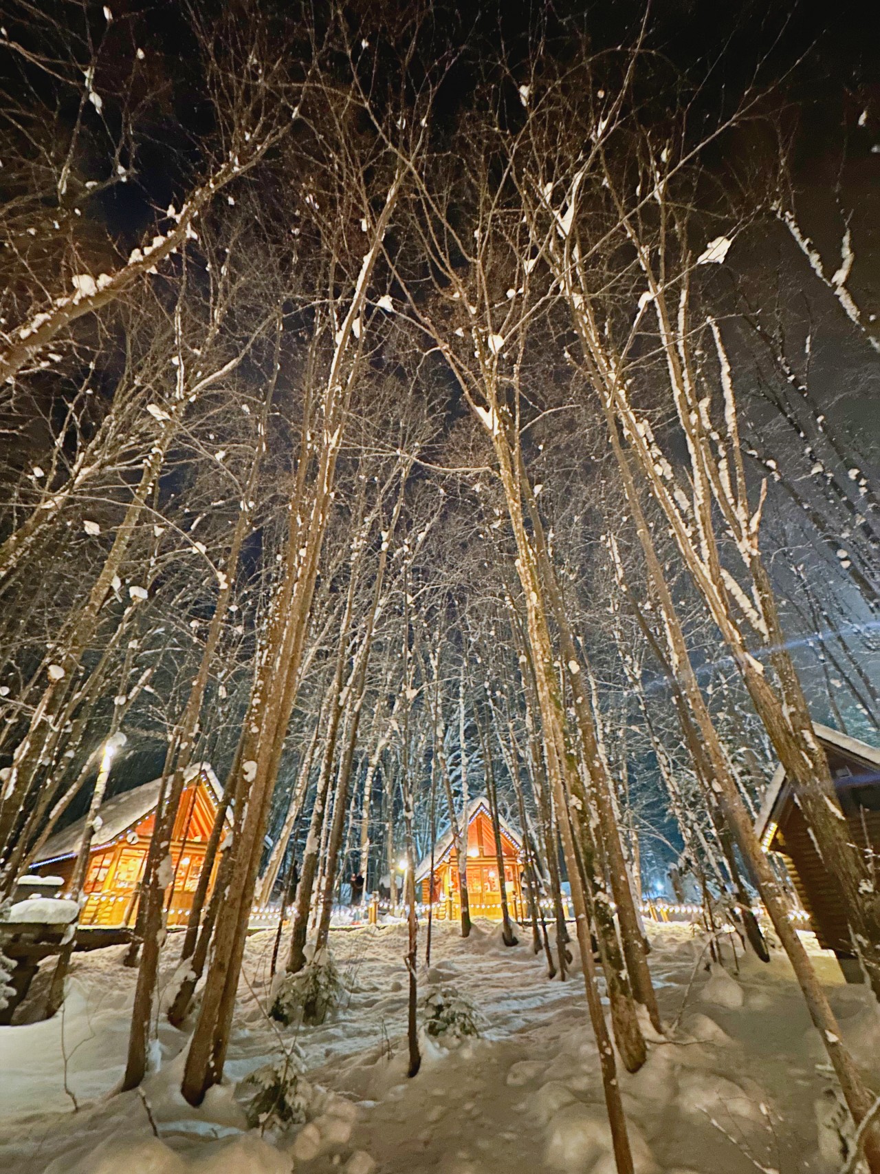 北海道森林精靈露台，森林精靈露台開放時間交通位置，鄰近新富良野王子飯店旁的童話故事村
