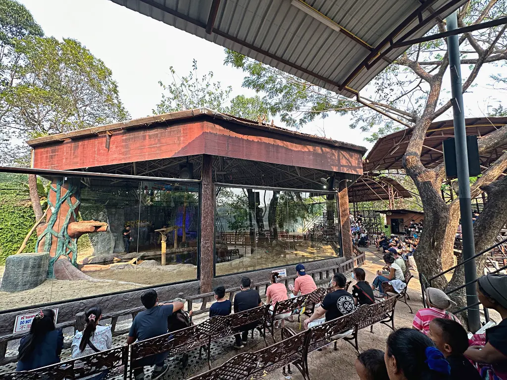 清邁夜間動物園Chiang Mai Night Safari，下午入園就可以玩到晚上最佳行程攻略看這篇