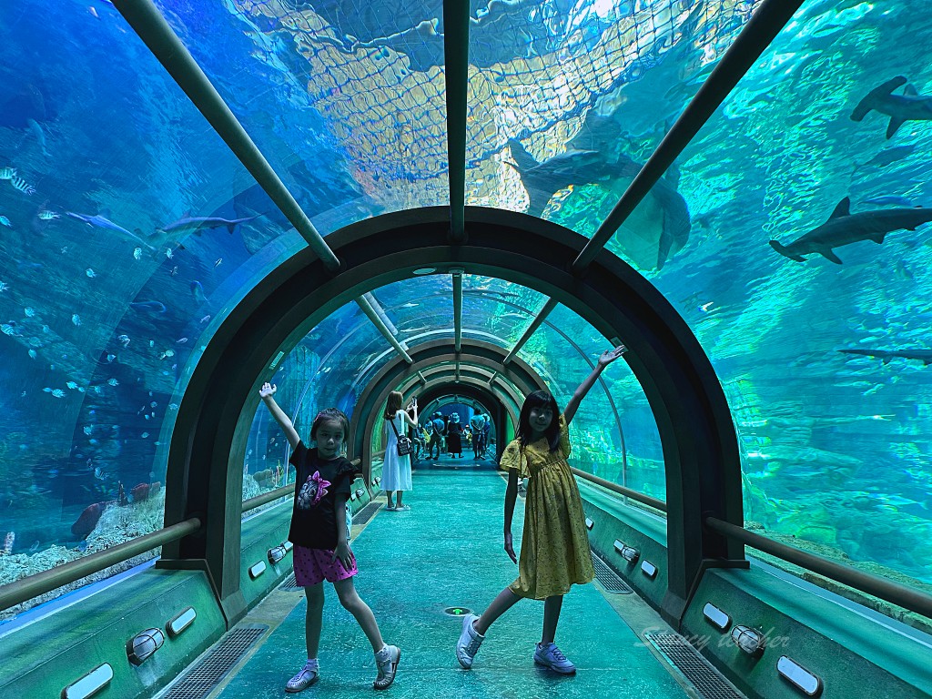 富國島景點 | 珍珠奇幻樂園 VinWonders 巨型海龜水族館 世界最大海龜造型水族館霸氣十足又呆萌可愛