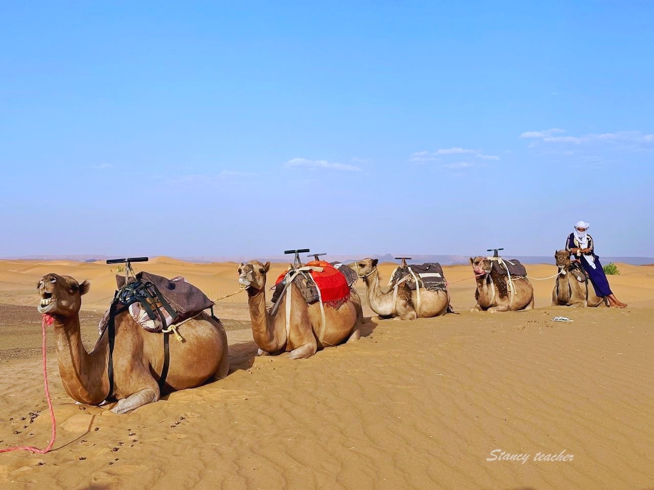 摩洛哥撒哈拉沙漠魔力奢華帳篷 Sahara Magic Luxury Camp，解鎖壯麗沙漠銀河，超浪漫沙漠日出 ｜Yalla 摩洛哥魔力之旅精緻奢華包車小團輕鬆無壓力