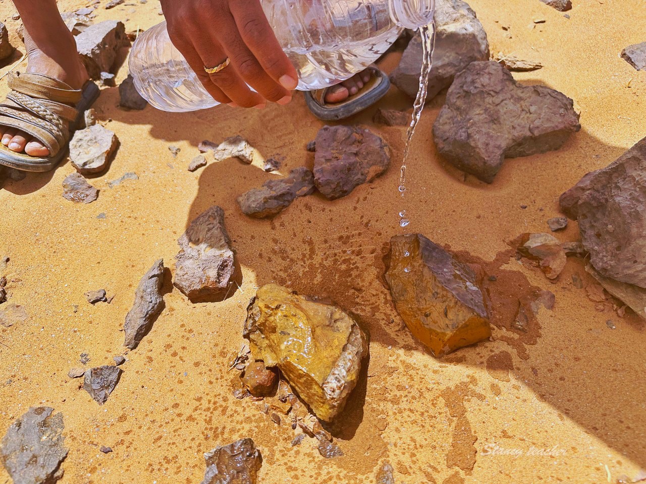 摩洛哥撒哈拉沙漠團行程推薦｜非洲也有金城武樹，黑金化石隨便撿喜歡就帶回家