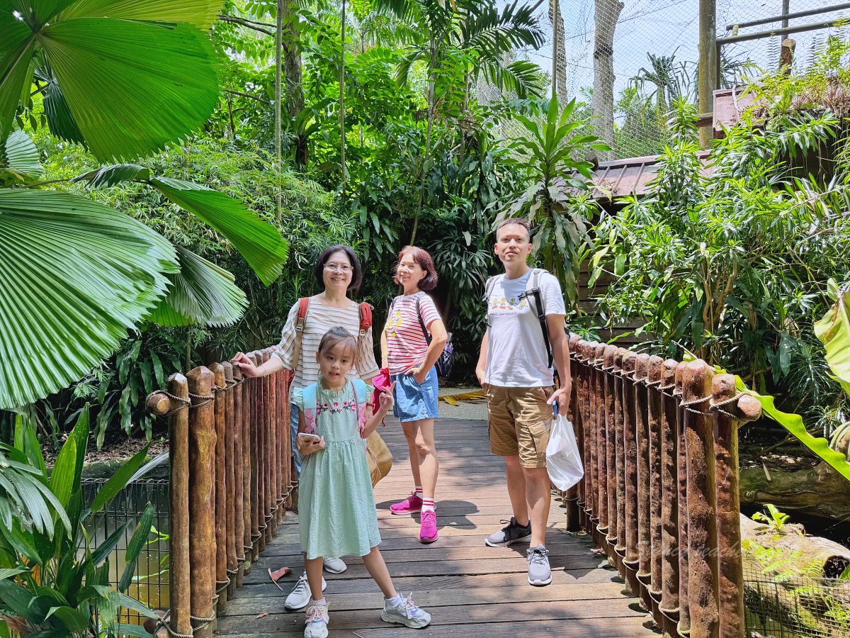 新加坡景點 新加坡動物園 萬禮野生動物保護區必玩景點 全球最佳動物園美譽逛起來超舒服