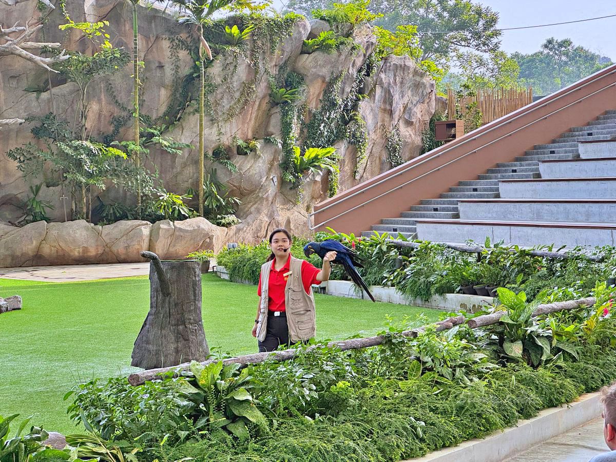 新加坡景點 Bird Paradise 新加坡飛禽世界 最新開幕飛禽公園是裕廊飛禽公園兩倍大更豐富好玩