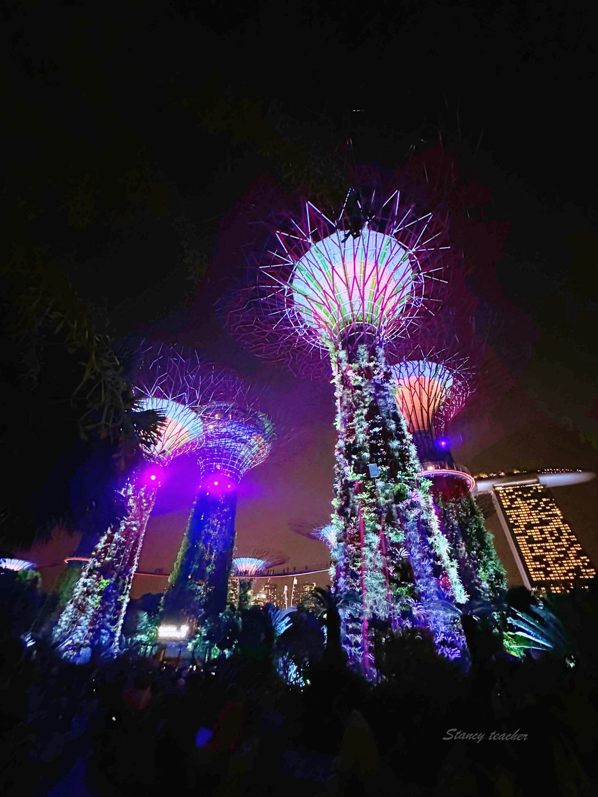 新加坡濱海灣花園攻略 雲霧森林阿凡達世界展 期間限定開箱 門票、營業時間、必拍造景