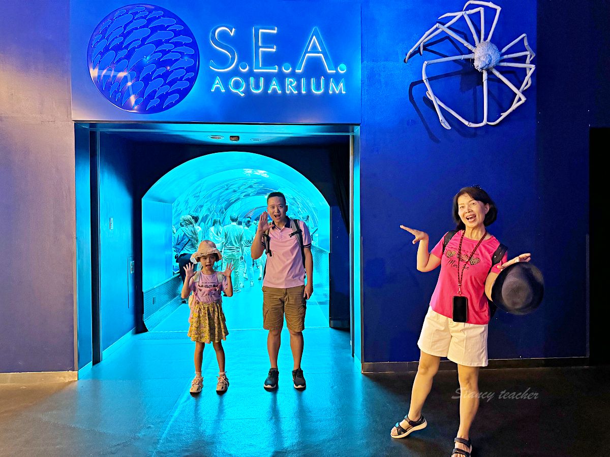 新加坡聖淘海洋館遊玩攻略 新加坡S.E.A.海洋館門票提前買便宜又方便 新加坡親子景點必去